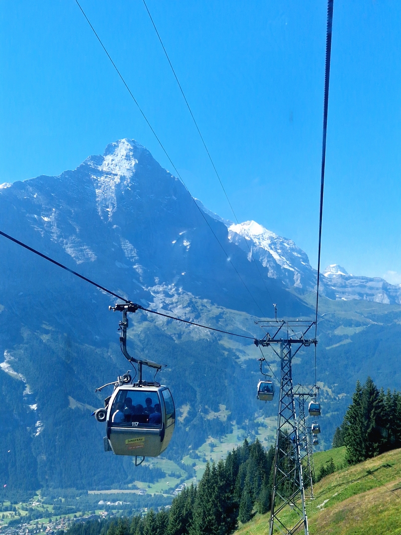 20250811_105333 (Kopiowanie).jpg