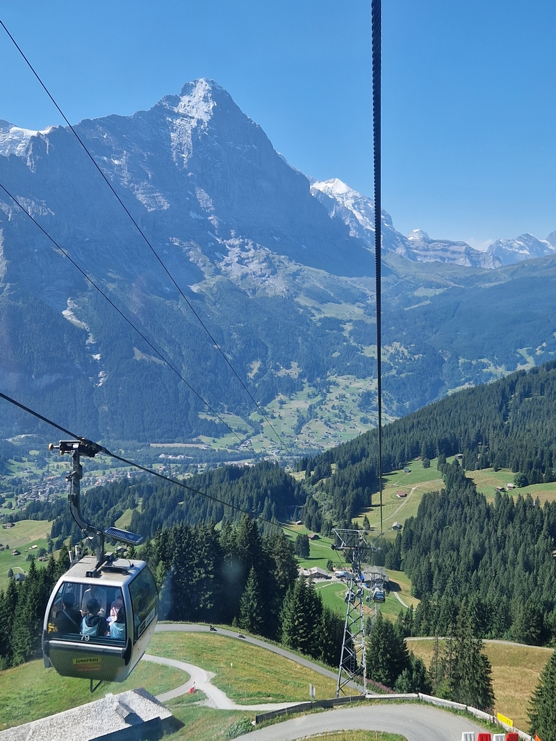 20250811_105515 (Kopiowanie).jpg