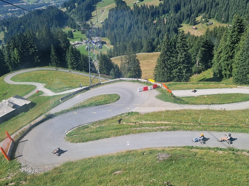 20250811_105518 (Kopiowanie).jpg