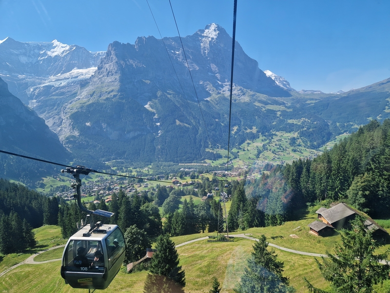 20250811_110258 (Kopiowanie).jpg