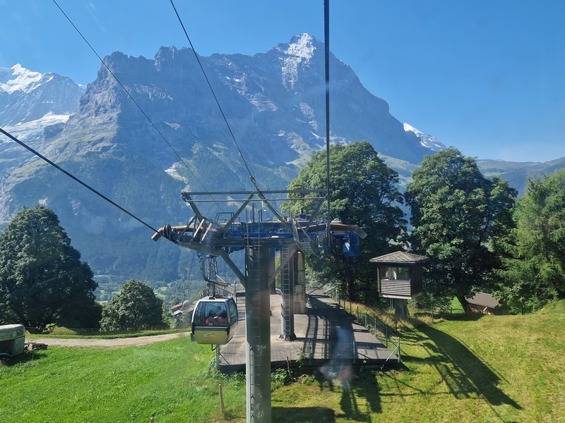 20250811_110426 (Kopiowanie).jpg