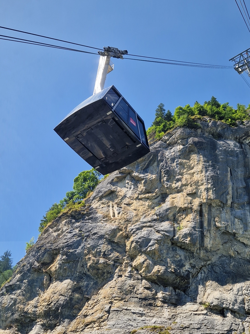 20250811_122421 (Kopiowanie).jpg