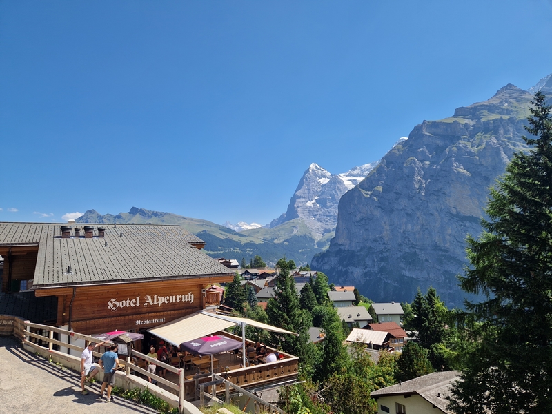 20250811_122926 (Kopiowanie).jpg