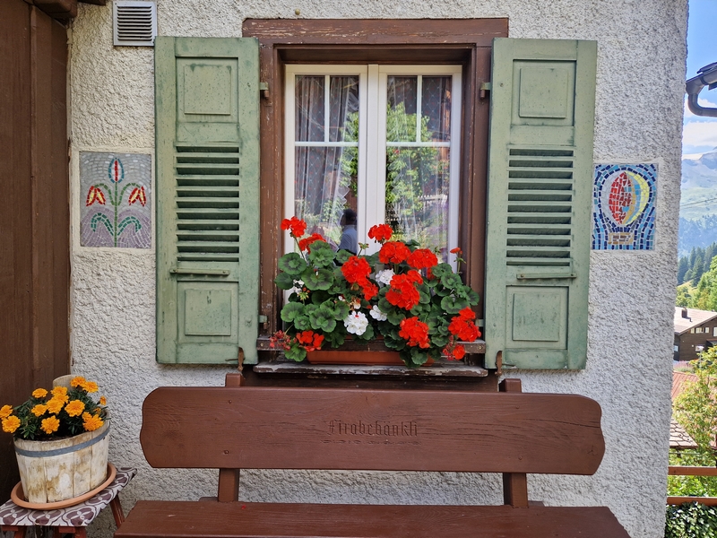 20250811_123408 (Kopiowanie).jpg