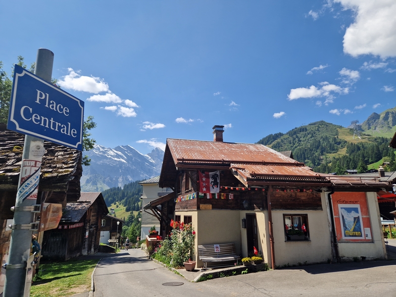 20250811_124615 (Kopiowanie).jpg