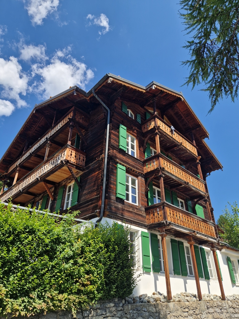 20250811_125416 (Kopiowanie).jpg