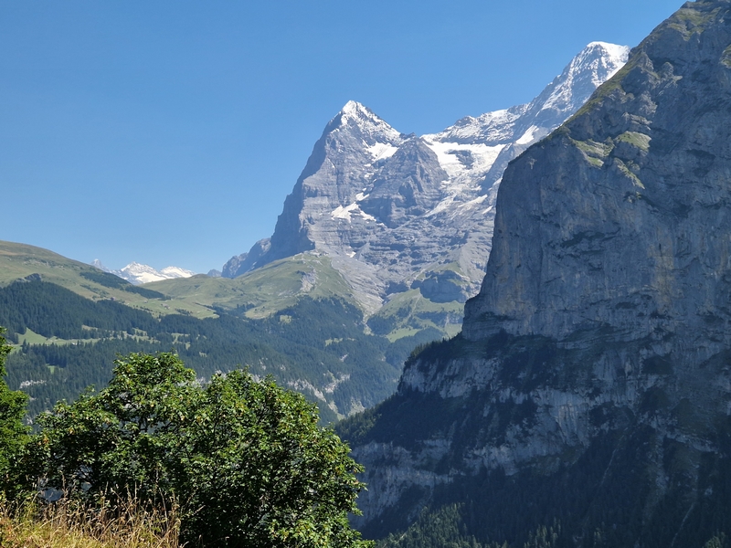 20250811_125539 (Kopiowanie).jpg