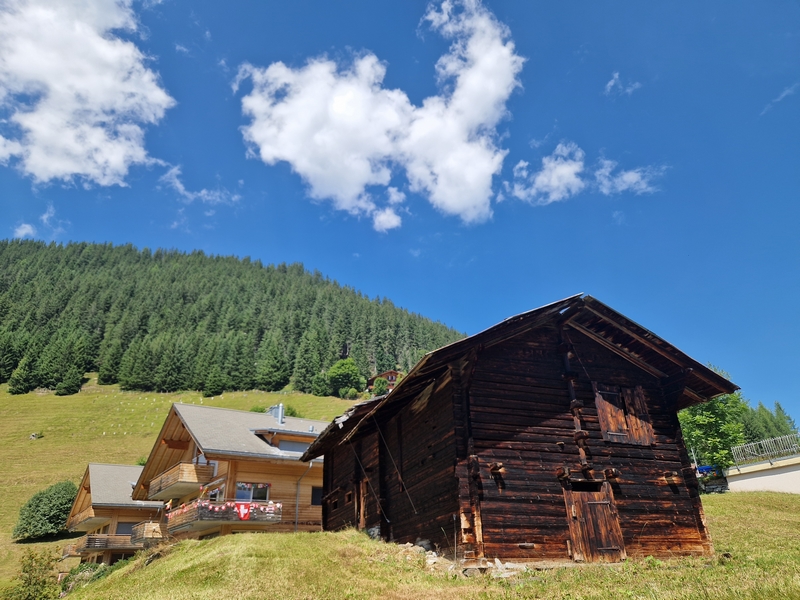 20250811_130310 (Kopiowanie).jpg