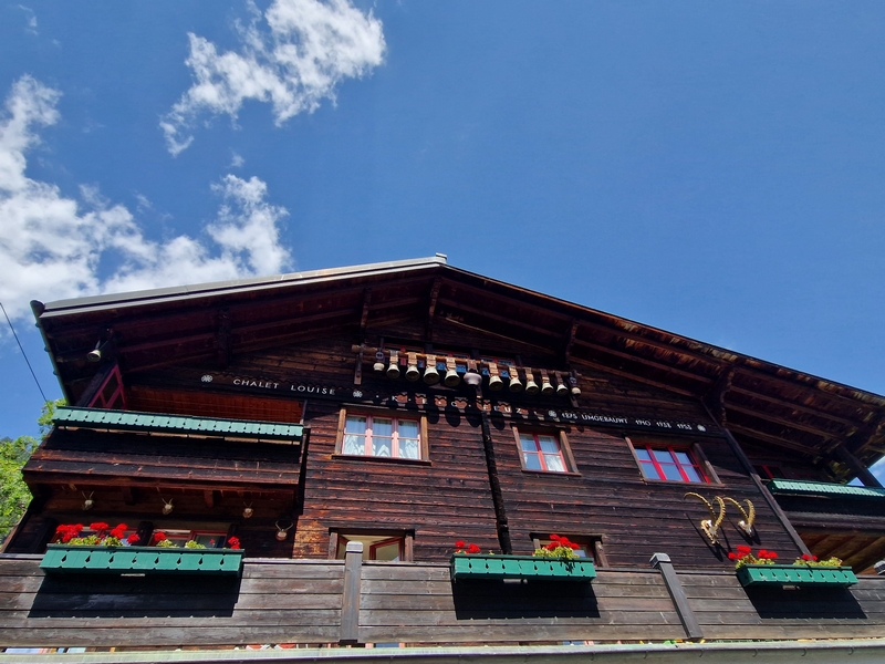 20250811_130839 (Kopiowanie).jpg