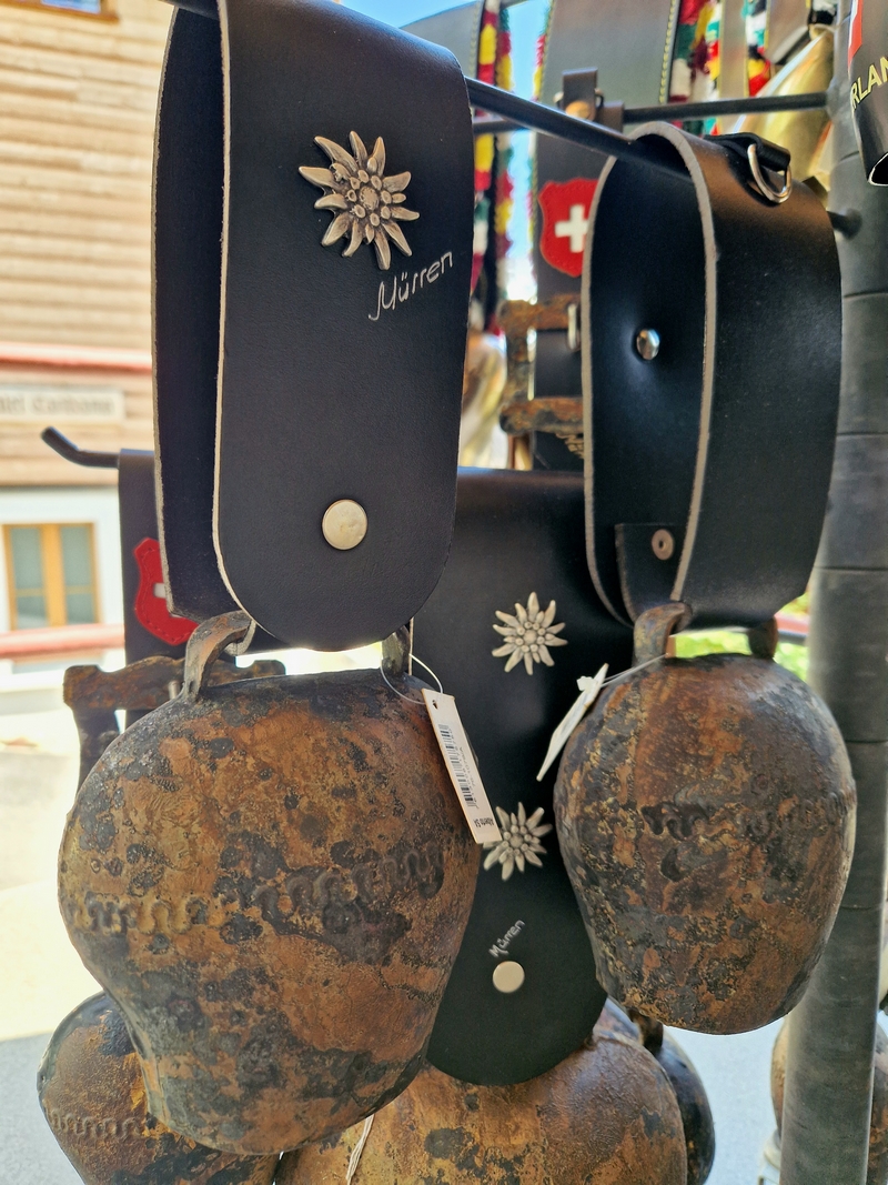 20250811_131209 (Kopiowanie).jpg