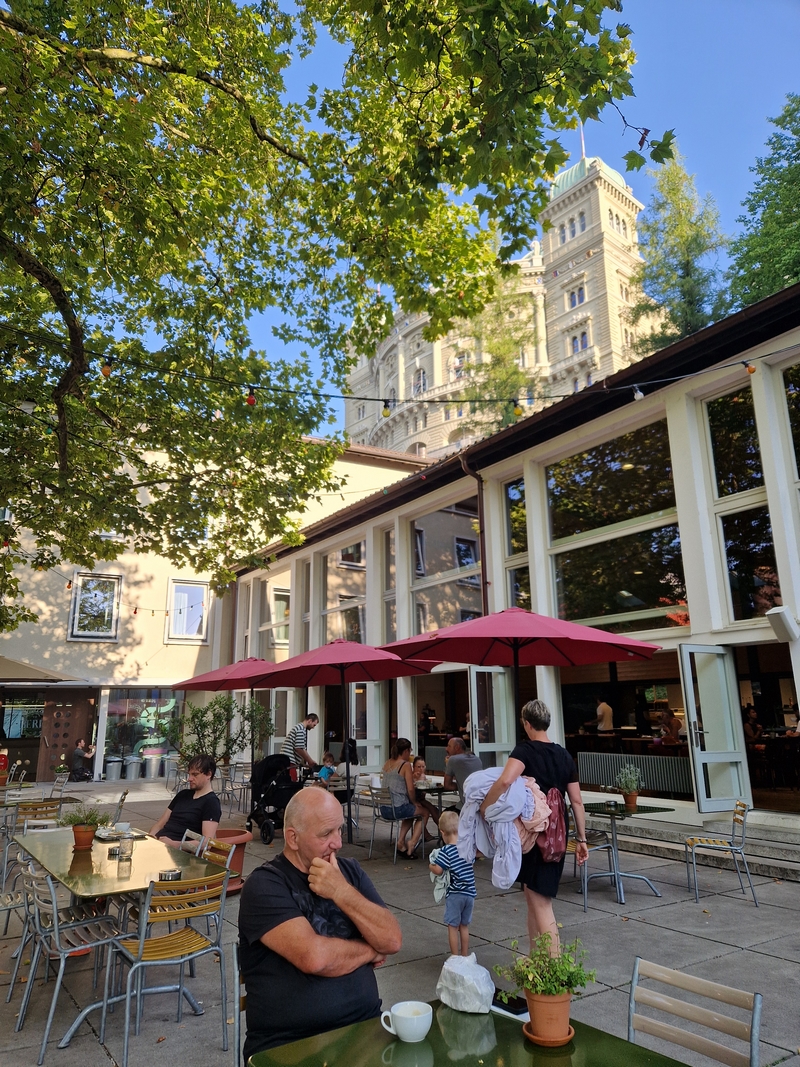 20250812_081400 (Kopiowanie).jpg