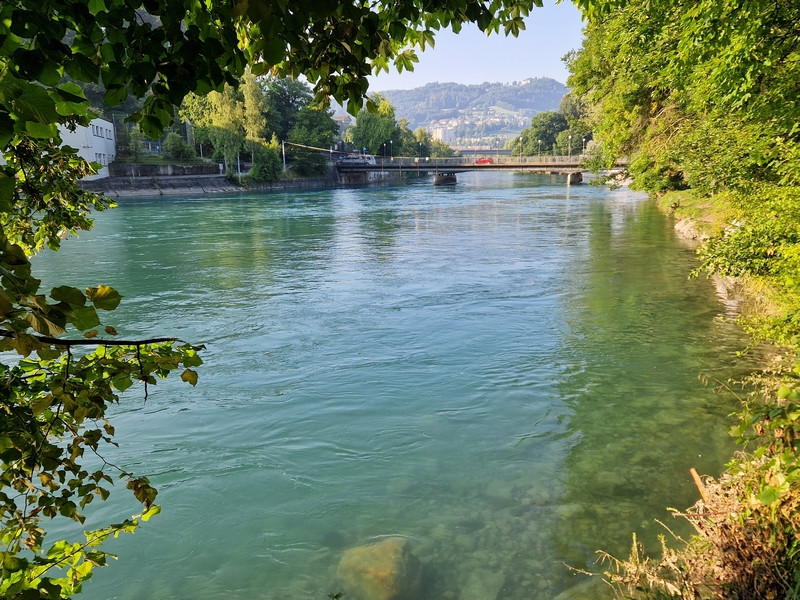 20250812_081907 (Kopiowanie).jpg