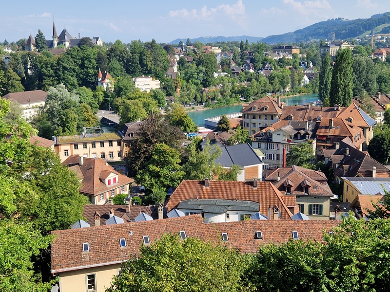 20250811_171858 (Kopiowanie).jpg