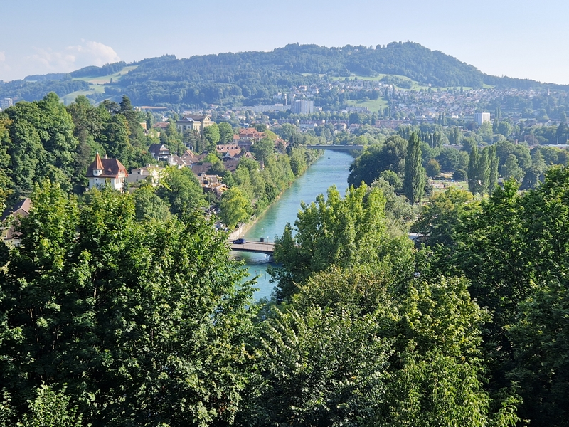 20250811_173411 (Kopiowanie).jpg