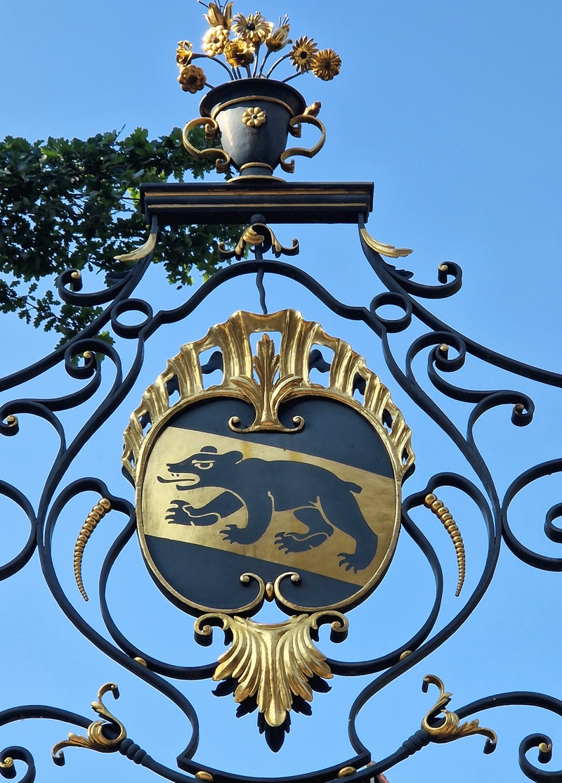 20250811_173642 (Kopiowanie).jpg