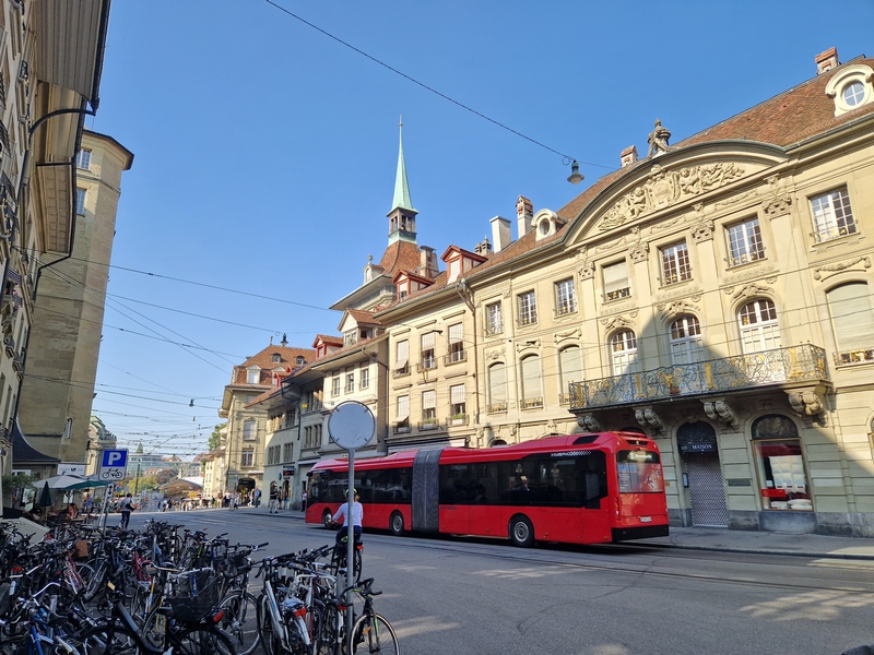 20250811_173844 (Kopiowanie).jpg