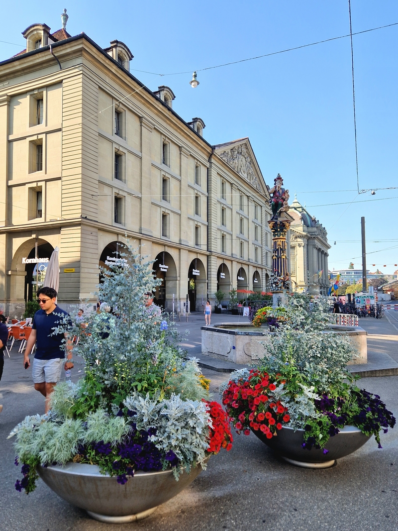 20250811_174129 (Kopiowanie).jpg