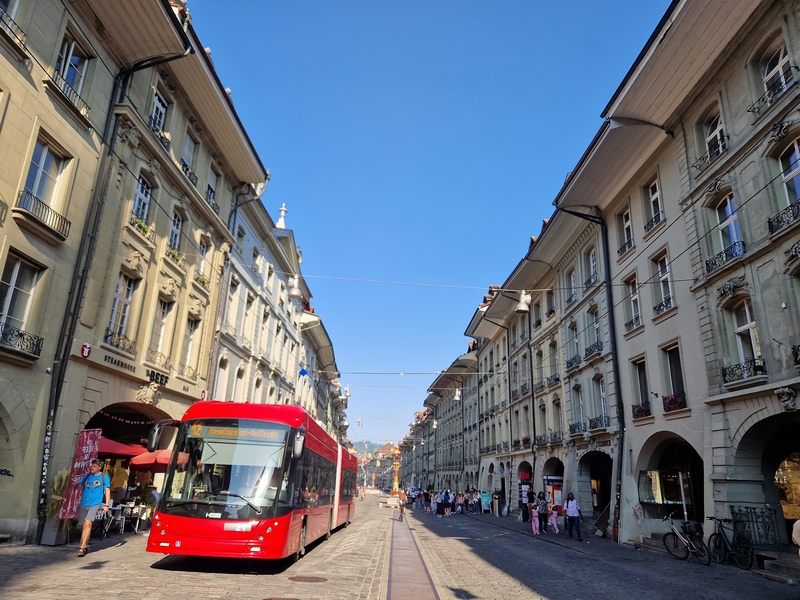 20250811_174656 (Kopiowanie).jpg