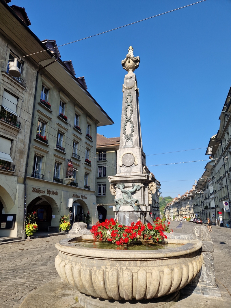 20250811_175325 (Kopiowanie).jpg