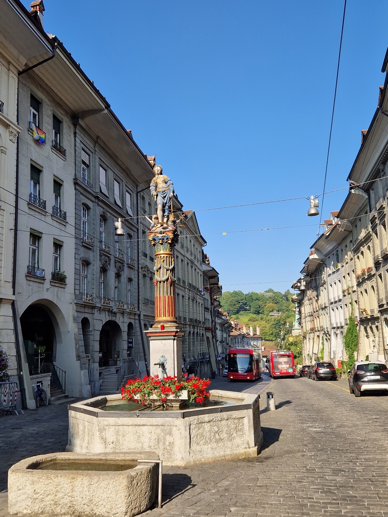 20250811_180144 (Kopiowanie).jpg