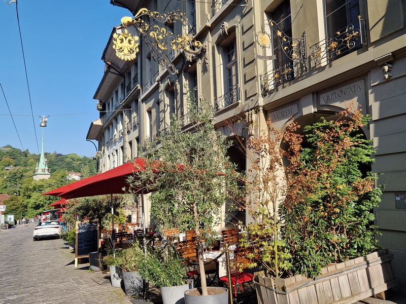 20250811_180451 (Kopiowanie).jpg