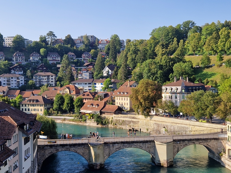 20250811_182313 (Kopiowanie).jpg