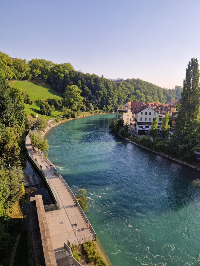 20250811_182530 (Kopiowanie).jpg