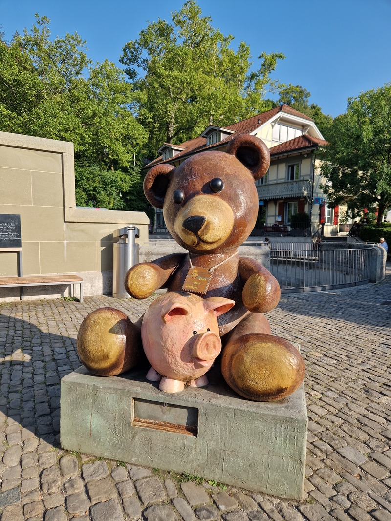 20250811_182654 (Kopiowanie).jpg