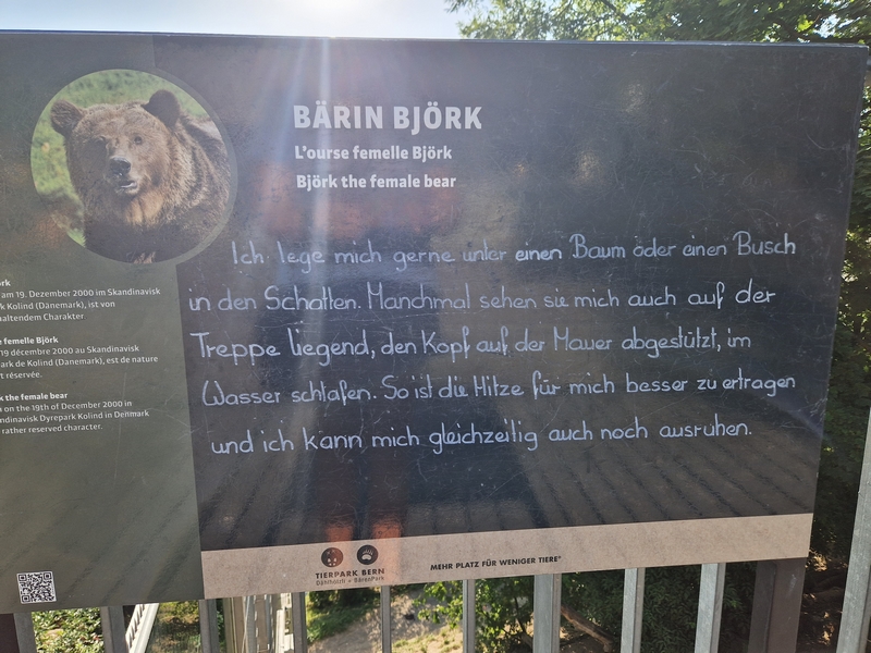 20250811_182719 (Kopiowanie).jpg