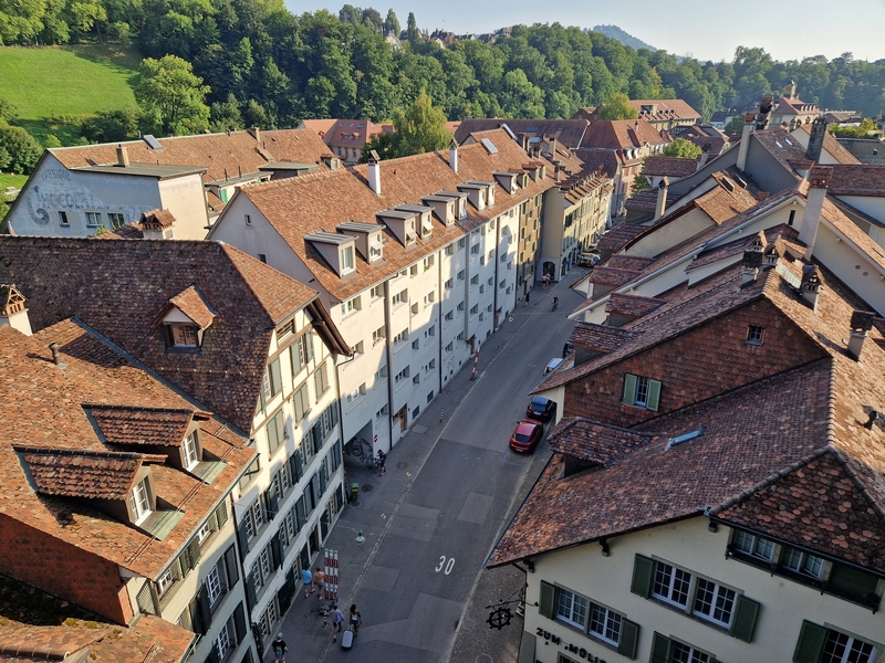 20250811_183148 (Kopiowanie).jpg