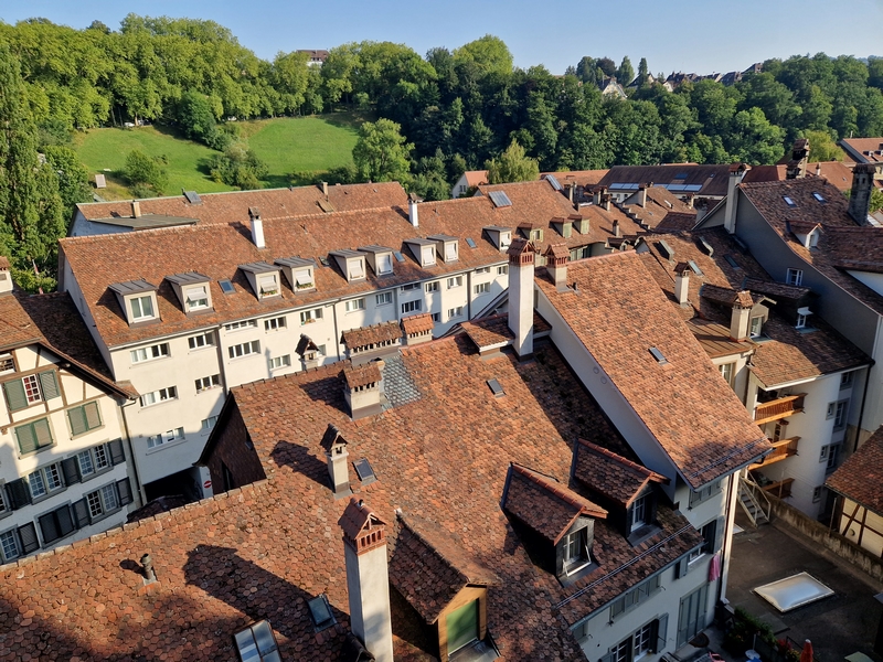 20250811_183228 (Kopiowanie).jpg