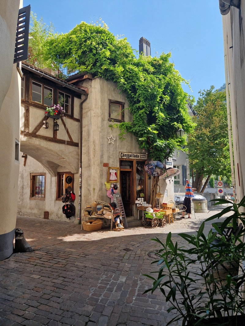 20250812_144002 (Kopiowanie).jpg