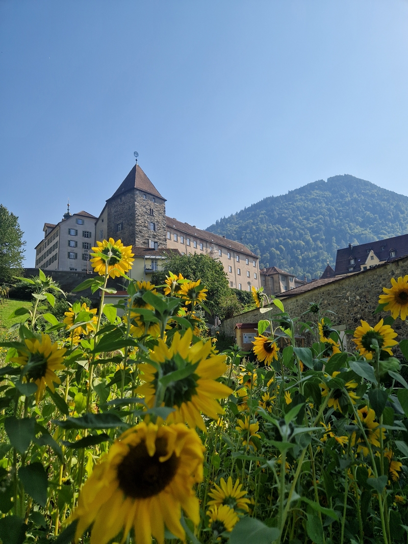 20250812_163147 (Kopiowanie).jpg