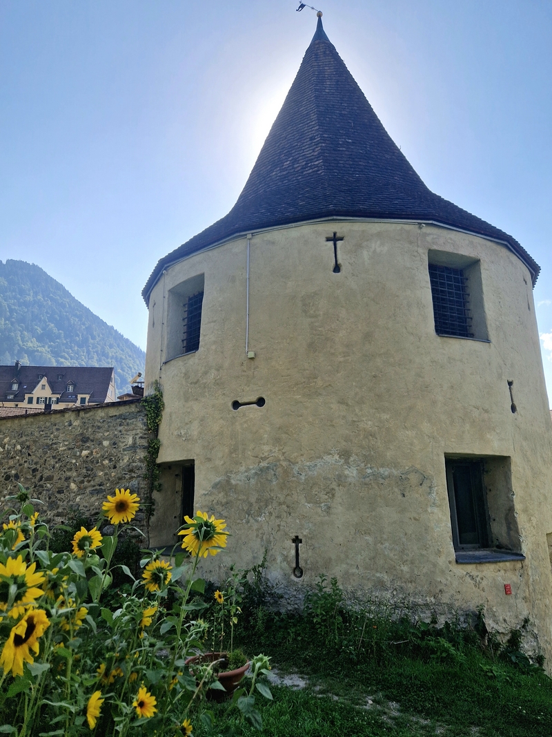 20250812_163223 (Kopiowanie).jpg