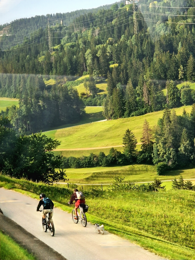 20250813_091348 (Kopiowanie).jpg