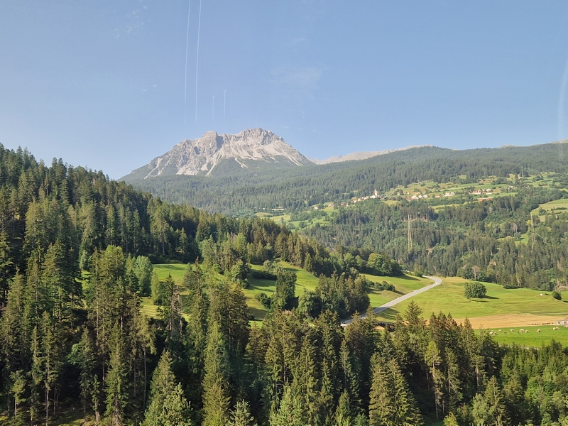 20250813_091905 (Kopiowanie).jpg