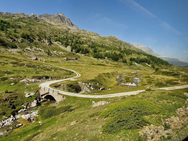 20250813_104443 (Kopiowanie).jpg