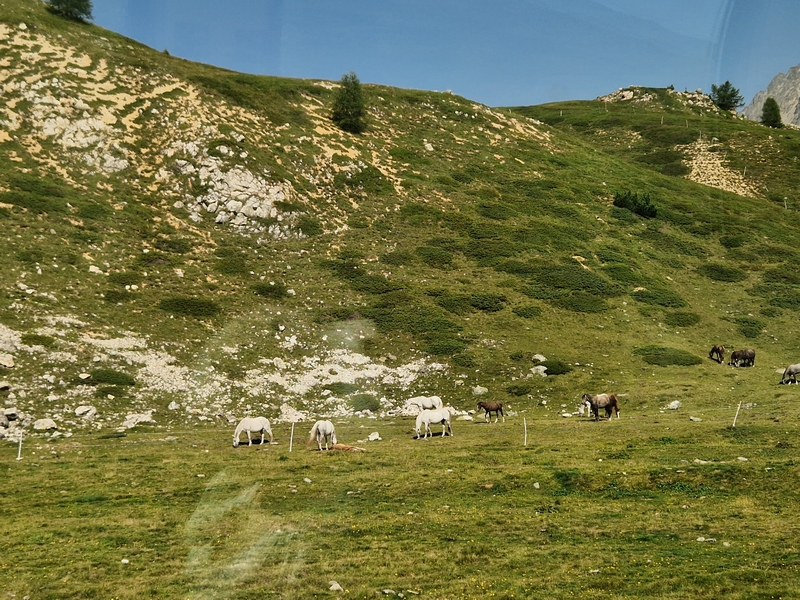 20250813_104556 (Kopiowanie).jpg