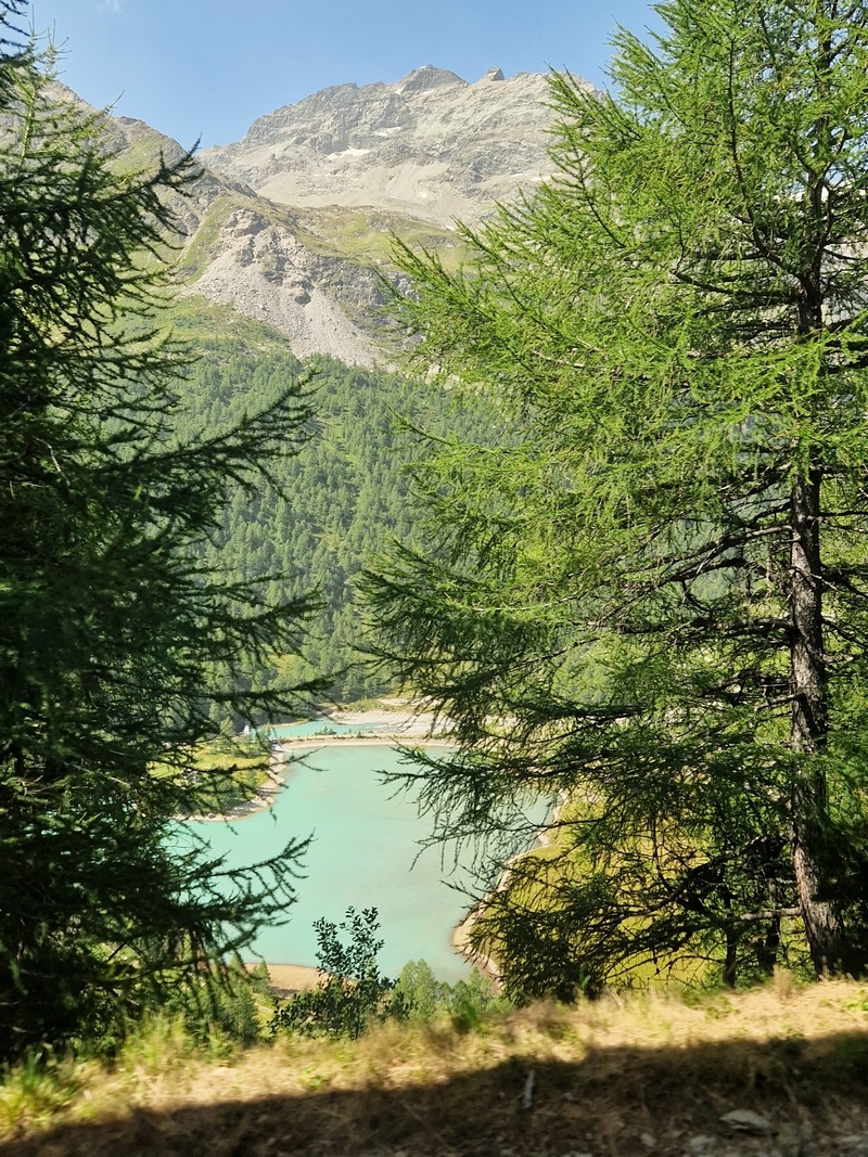 20250813_105848 (Kopiowanie) (Kopiowanie).jpg