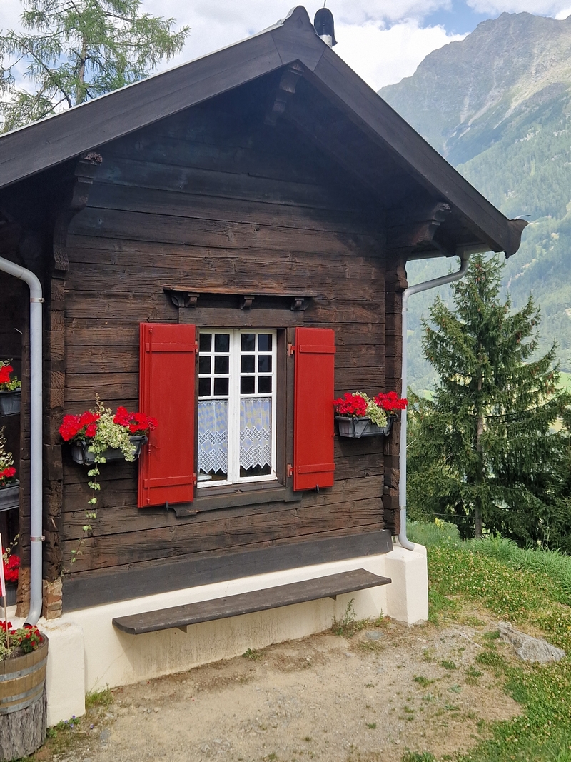 20250813_155345(0) (Kopiowanie).jpg