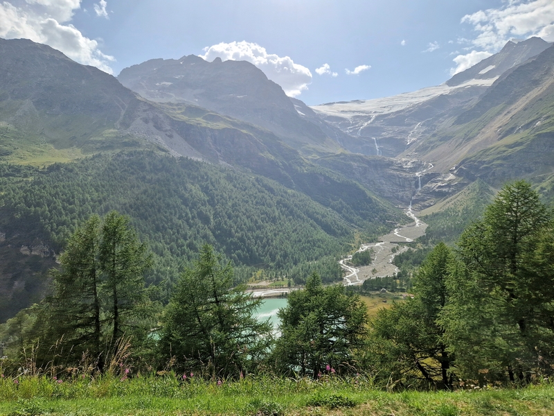 20250813_161824 (Kopiowanie).jpg