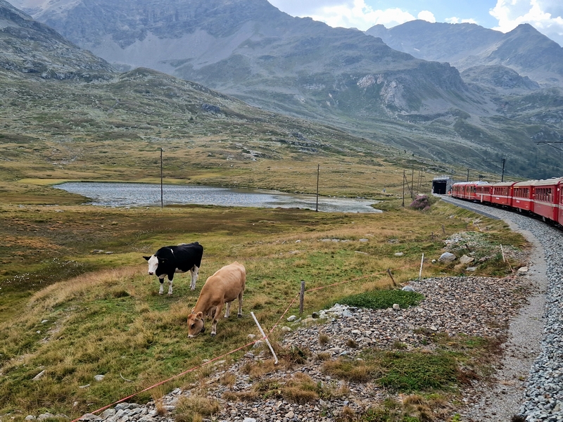 20250813_163101 (Kopiowanie).jpg