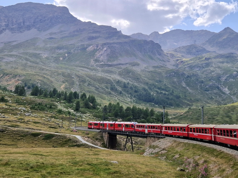 20250813_163248(0) (Kopiowanie).jpg