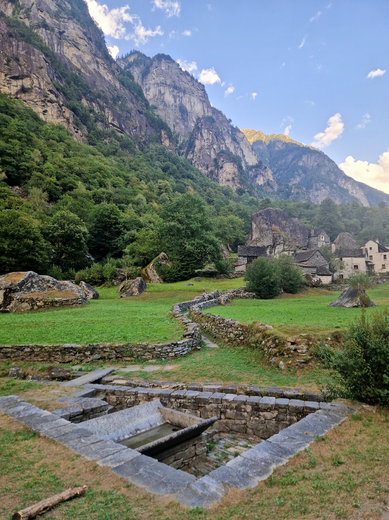 20250815_180051 (Kopiowanie).jpg