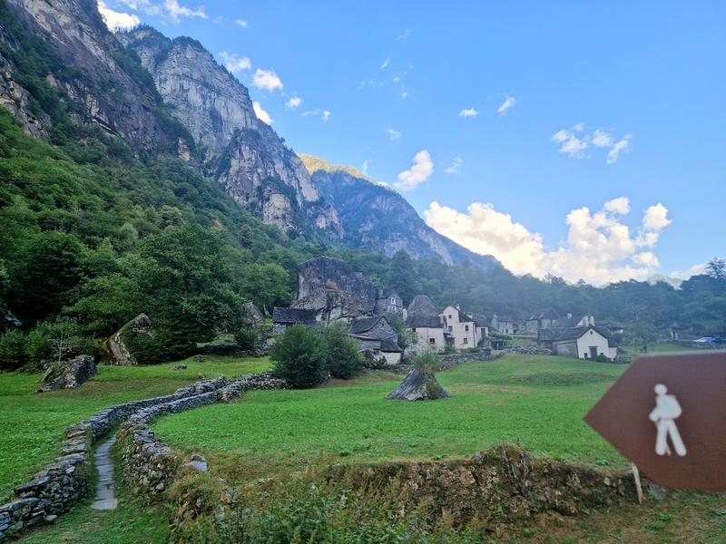 20250815_180116 (Kopiowanie).jpg