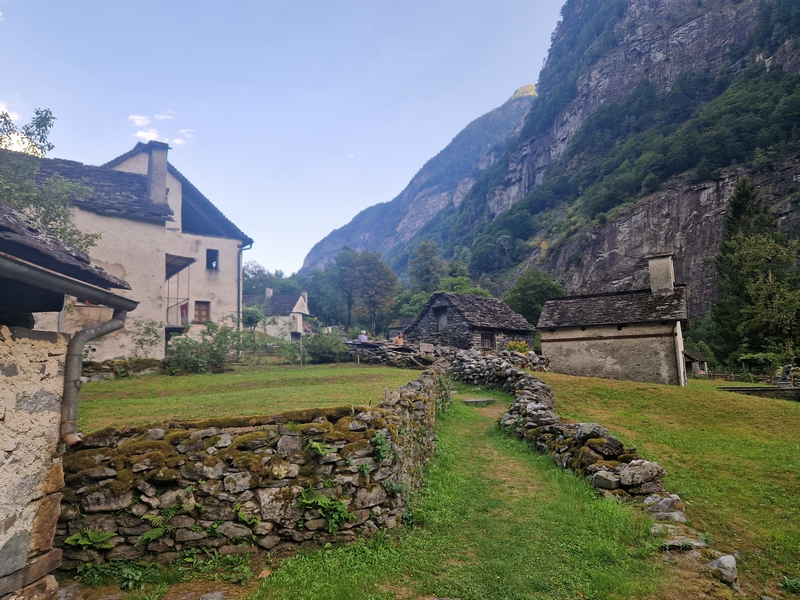 20250815_180411 (Kopiowanie).jpg