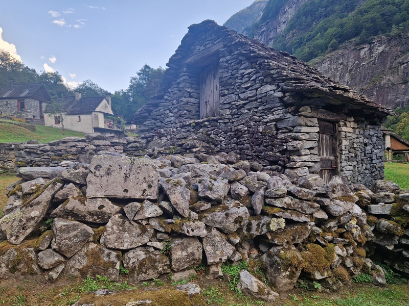 20250815_180438 (Kopiowanie).jpg