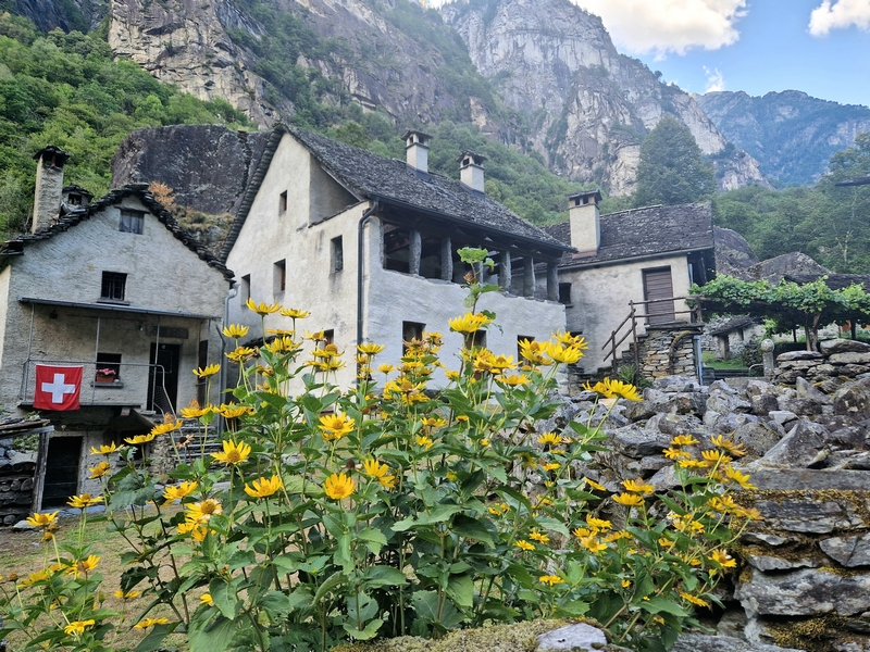 20250815_180645 (Kopiowanie).jpg