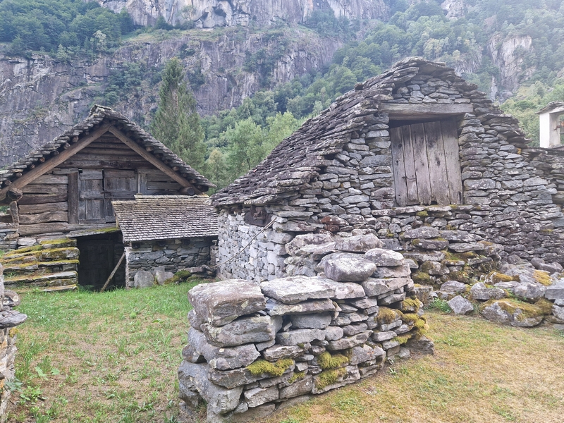 20250815_180717 (Kopiowanie).jpg