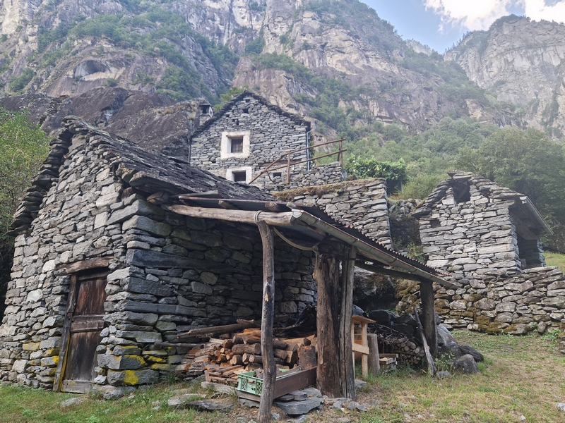 20250815_180812 (Kopiowanie).jpg